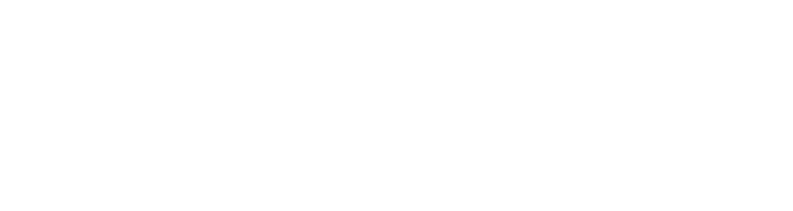 Auto Repair Black Hawk logo